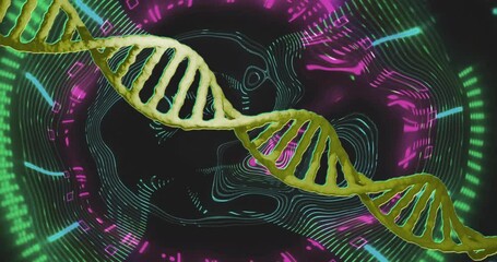 Wall Mural - animation of dna strand over neon shapes moving