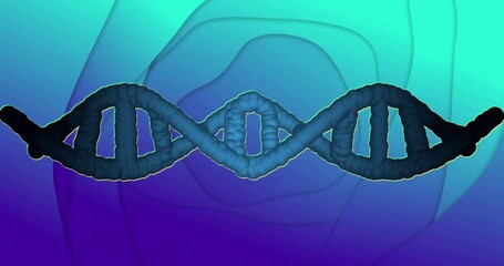 Wall Mural - animation of dna strand over blue shapes moving