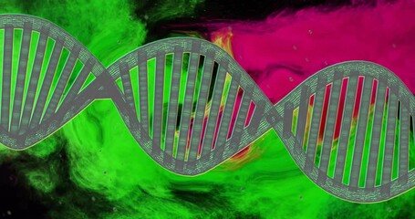 Canvas Print - Animation of dna strand over green and pink shapes moving