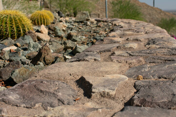 Rock Wall Garden