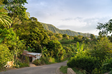 Wall Mural - Small hut on the side of a road with a tropical climate landscape during a Colombian sunset.