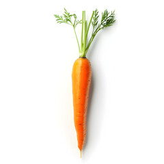 Wall Mural - Tasty carrot on white background