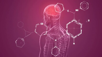 Wall Mural - Animation of scientific data processing over human body with glowing brain