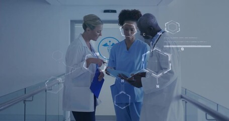 Canvas Print - Animation of data processing with chemical formula over diverse doctors in hospital