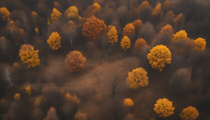 Sticker - autumn in the park