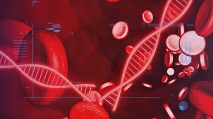 Canvas Print - Animation of dna strands and digital data processing with red blood cells