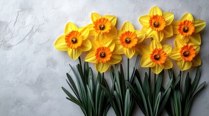 Sticker - Yellow Daffodils on Grey Background