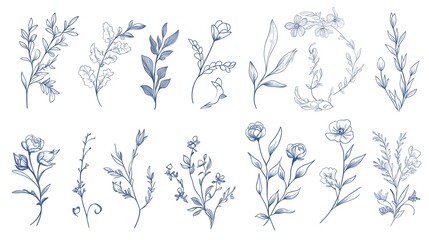 Hand drawn botanical floral elements in line art and silhouette style. Flowers, branches and leaves. Vector set for label, logo, corporate identity, wedding invitation, wreath, frame, border