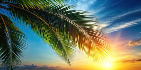 Silhouette of tropical coconut leaf on bright sky background