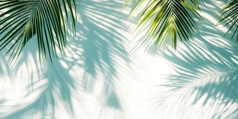 Sticker - palm tree leaves Top view of tropical leaf shadow on water surface. Shadow of palm leaves on white background. Beautiful abstract background concept banner for summer vacation at the beach.