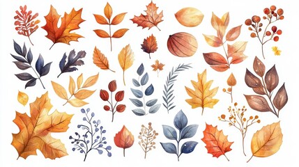 Canvas Print - Watercolor Autumn Leaves and Berries Clipart