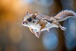 © methinee - Southern Flying Squirrel in controlled gliding descent in southern MN