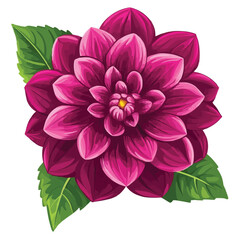 Wall Mural - vector magenta dahlia flower clipart with green leaves on the stem