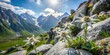 © methinee - Symmetrical Alpine meadow with edelweiss growing among rocks in high mountains