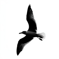 Poster - A black and white silhouette of a seagull in flight against a white background.