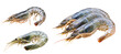 © wanna - Set of photos of raw fresh blue shrimps isolated on white background.