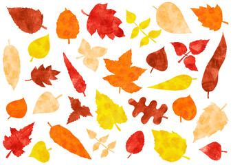 Set of autumn leaves of different shapes and type of trees. Colored pencils. Strokes texture. White background. Peach, yellow, orange, red, brown. Different shades. Autumn background.