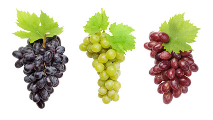 Colorful grapes