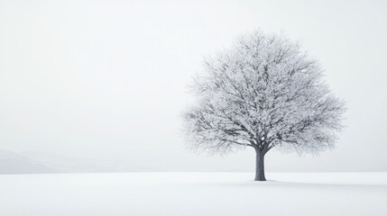 Canvas Print - Solitary Frosted Tree in a Snowy Field