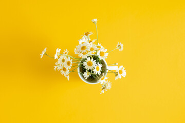 Wall Mural - Flowers composition. Beautiful small chamomile in white cup on yellow table. Spring and summer floral beautiful background. White daisies on yellow. Flat lay, top view