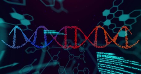 Wall Mural - Animation of dna strand and scientific data processing