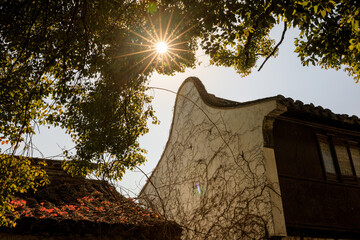 roof of the house