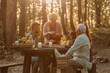 © bernardbodo - Family having lunch in the woods on a sunny day