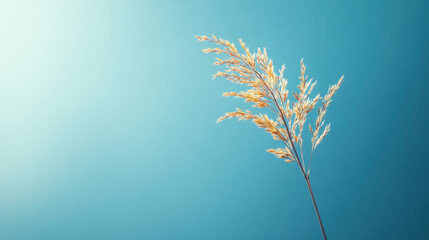 Wall Mural - Golden plant against blue background with copy space for text