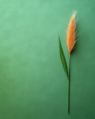 Wall Mural - Single stem with soft orange tip on green background