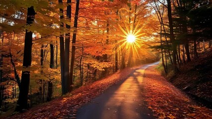 Wall Mural - winding forest road bathed in golden sunlight, with colorful autumn leaves scattered along the path