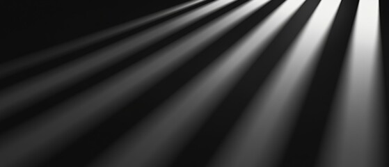 Canvas Print - a black and white photo of a shadow with a light source behind it