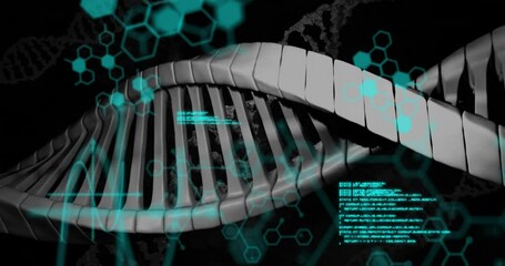 Wall Mural - Animation of dna strand and scientific data processing