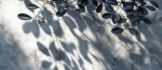 Poster - Leaves shadows gently fall on a blank wall creating a stylish copy space image suitable for decorative purposes