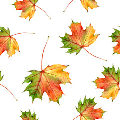 seamless watercolor autumn maple leaf pattern