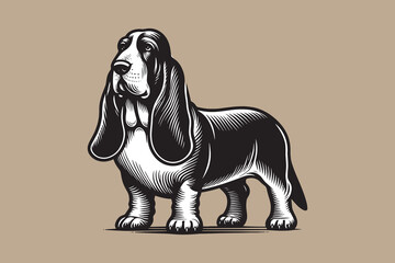 Poster - Basset hound dog. Engraving vintage black vector illustration, emblem, logo, print, icon