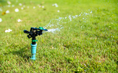 Wall Mural - Sprinkler for automatic lawn watering. Lawn cultivation and care, garden irrigation devices. Rainbow over the garden on a sunny day.