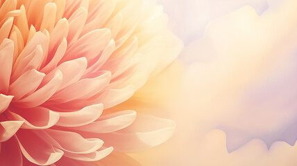 Canvas Print - Flower close-up of pastel peach color, background greeting card in watercolor style