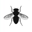 © PuiZera - Black and white silhouette of a fly with spread wings.