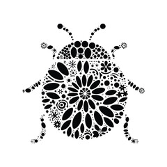 Ladybug insect made by simple flower drawing, black and white animal illustration