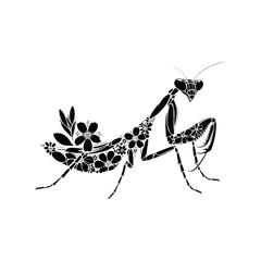 Mantis insect made by simple flower drawing, black and white animal illustration