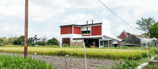 View of a house in a rice field