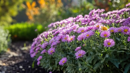 Poster - Pink Flowers in Garden