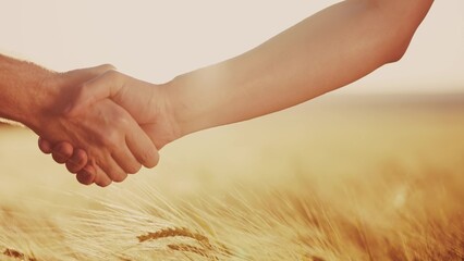 Wall Mural - handshake contract farmers. agriculture business concept. two farmers shaking hands in a yellow wheat field signing a contract agreement. agriculture lifestyle handshake business agreement close-up