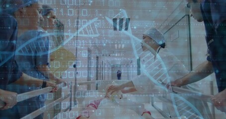 Canvas Print - Animation of dna strands and data processing over diverse doctors and patient in hospital