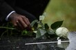 © Seventyfour - Close up on hand of Black man placing white rose on granite tombstone at graveyard in memory of departed loved one while raindrops falling on flower, copy space