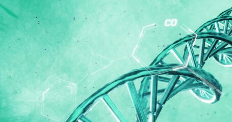 Wall Mural - Animation of scientific data processing over dna strand spinning