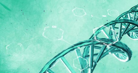 Wall Mural - Animation of scientific data processing over dna strand spinning