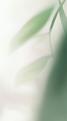 Poster - Soft, green leaves