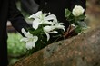 © Seventyfour - Close up on rain wet white lilies and rose in hands of two unrecognizable people placing flowers on stone memorial monument to commemorate deceased loved one at cemetery, copy space
