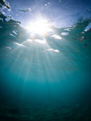Wall Mural - beautiful sun rays on the blue ocean underwater.